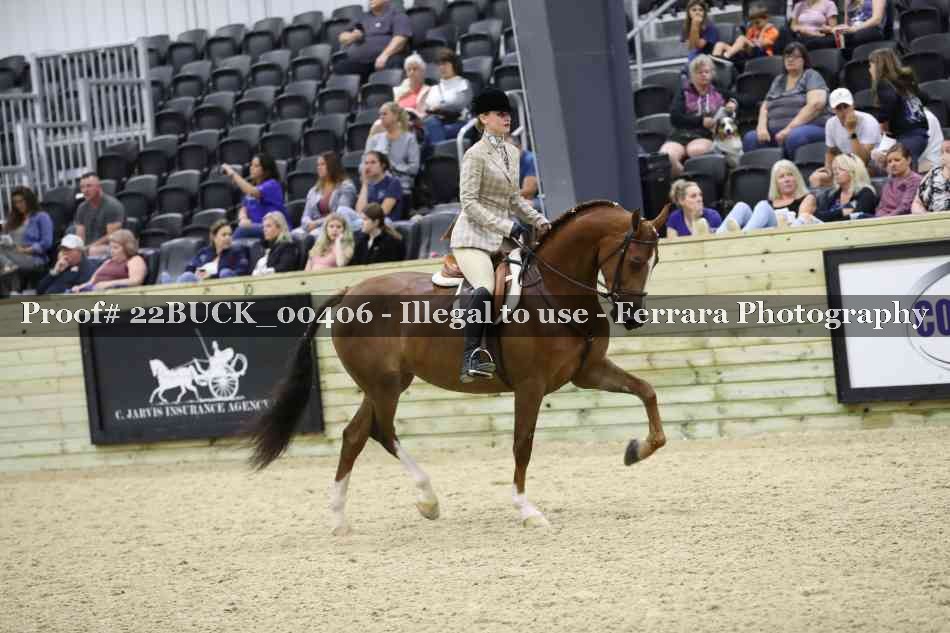 Proof 22BUCK_00406