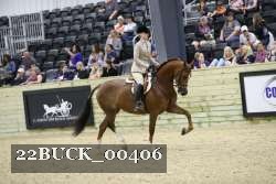 22BUCK_00406 proof