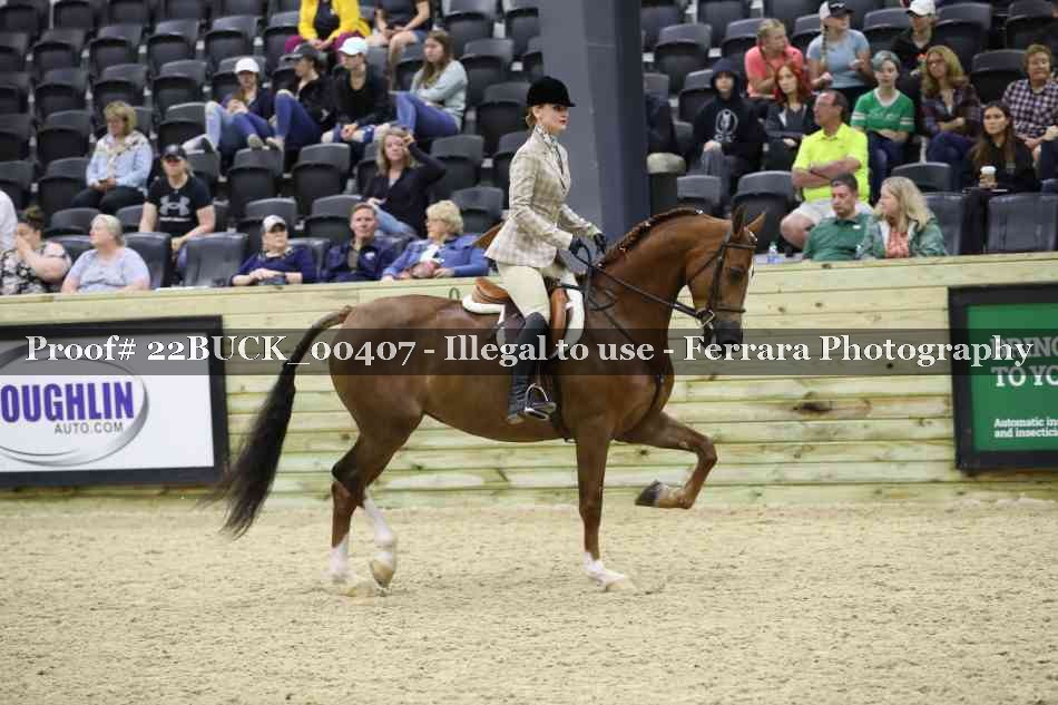 Proof 22BUCK_00407