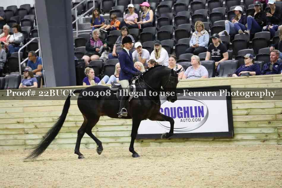 Proof 22BUCK_00408