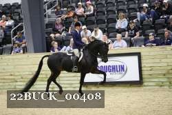 22BUCK_00408 proof