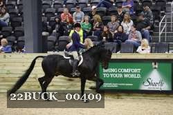 22BUCK_00409 proof