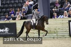 22BUCK_00410 proof