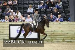 22BUCK_00411 proof