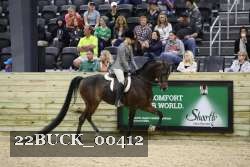 22BUCK_00412 proof