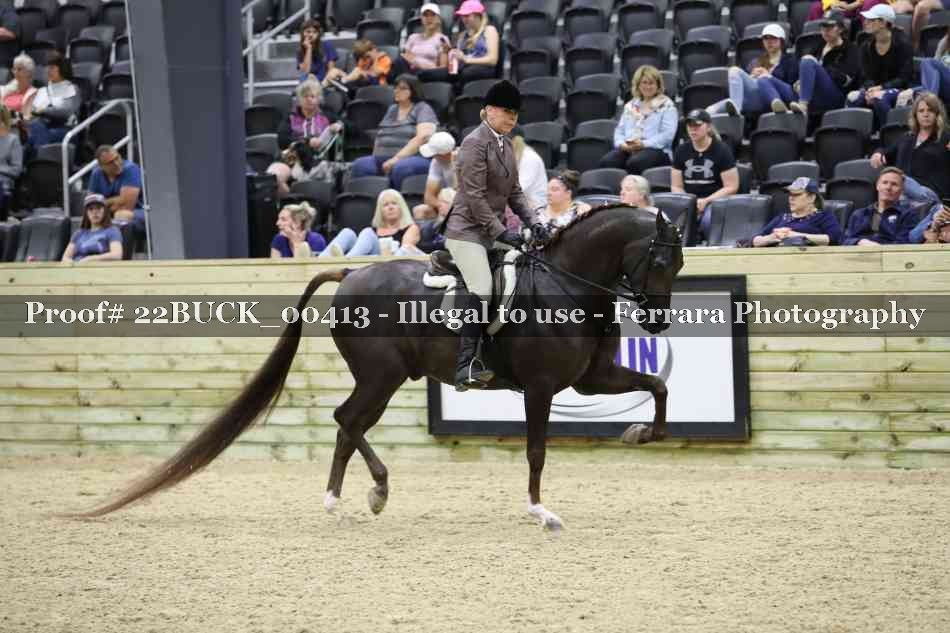 Proof 22BUCK_00413