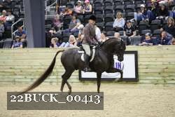 22BUCK_00413 proof