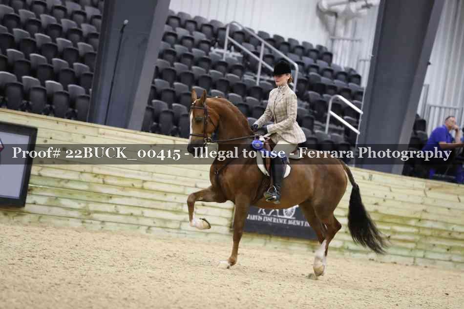 Proof 22BUCK_00415