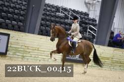 22BUCK_00415 proof