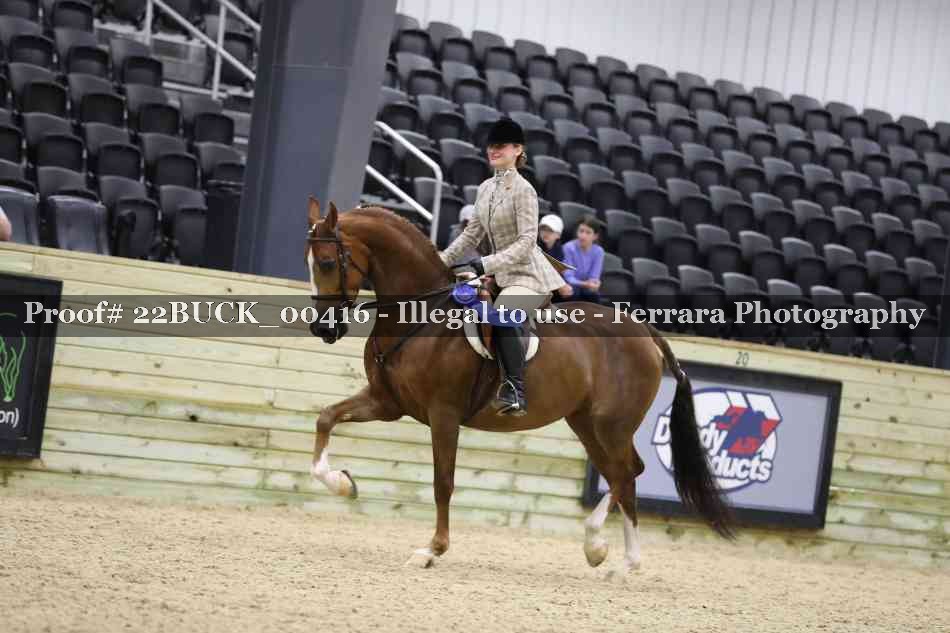 Proof 22BUCK_00416