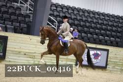 22BUCK_00416 proof