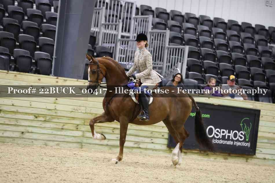 Proof 22BUCK_00417