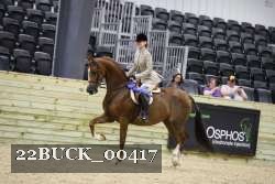 22BUCK_00417 proof