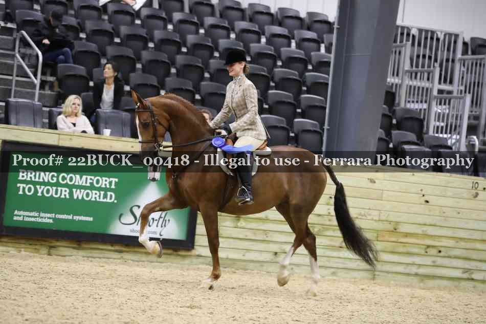 Proof 22BUCK_00418