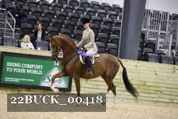 22BUCK_00418 proof