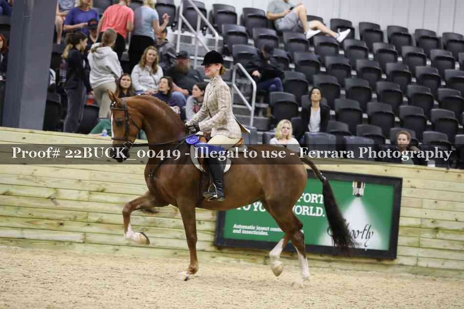 Proof 22BUCK_00419