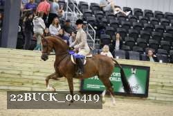 22BUCK_00419 proof