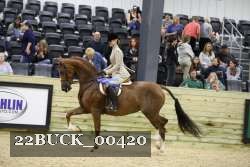 22BUCK_00420 proof