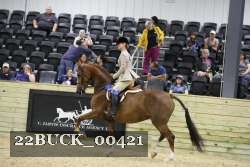 22BUCK_00421 proof