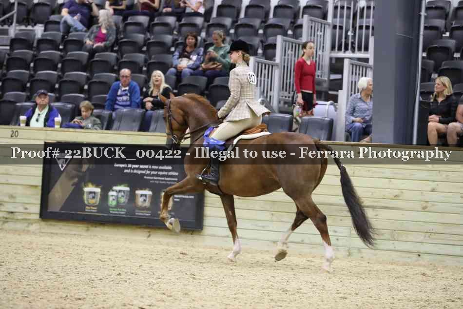 Proof 22BUCK_00422