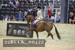 22BUCK_00422 proof