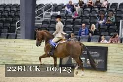 22BUCK_00423 proof