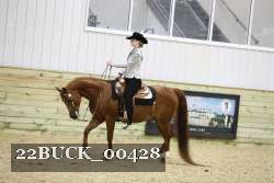 22BUCK_00428 proof