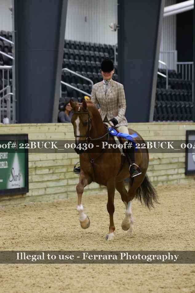 Proof 22BUCK_00430