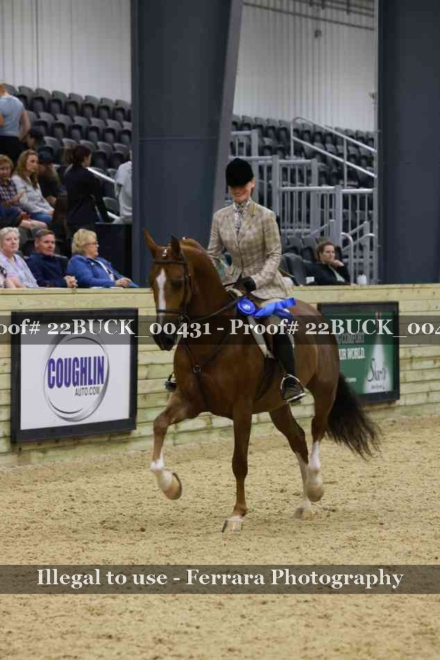 Proof 22BUCK_00431