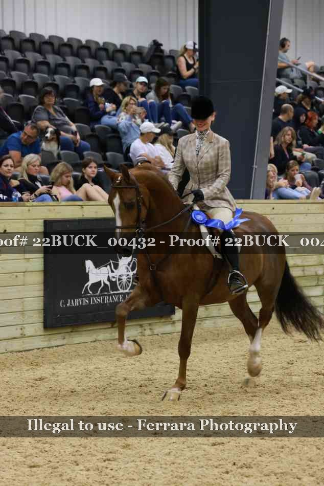 Proof 22BUCK_00432