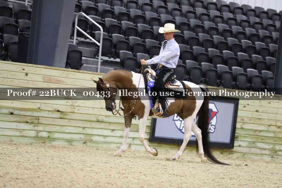 Proof 22BUCK_00433