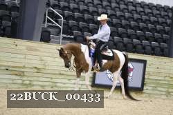 22BUCK_00433 proof