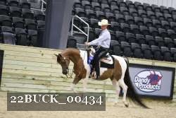 22BUCK_00434 proof