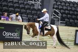 22BUCK_00435 proof