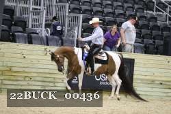 22BUCK_00436 proof