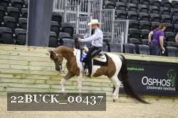 22BUCK_00437 proof
