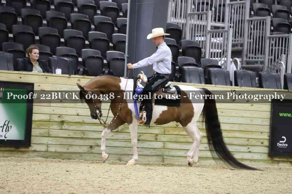 Proof 22BUCK_00438