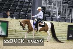 22BUCK_00438 proof