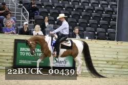 22BUCK_00439 proof