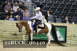 22BUCK_00440 proof