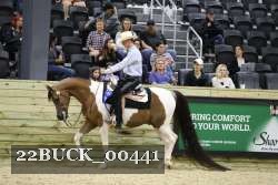 22BUCK_00441 proof