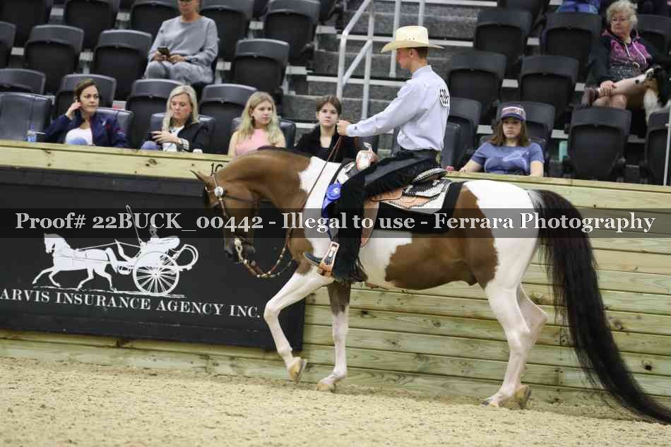 Proof 22BUCK_00442