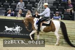 22BUCK_00442 proof
