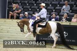 22BUCK_00443 proof