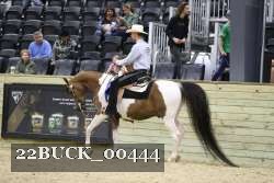22BUCK_00444 proof
