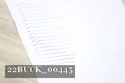 22BUCK_00445 proof