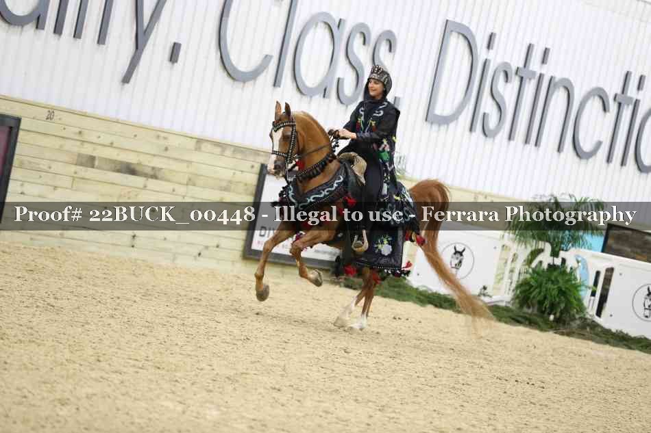 Proof 22BUCK_00448