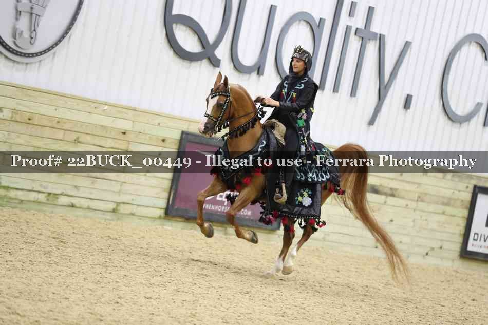 Proof 22BUCK_00449