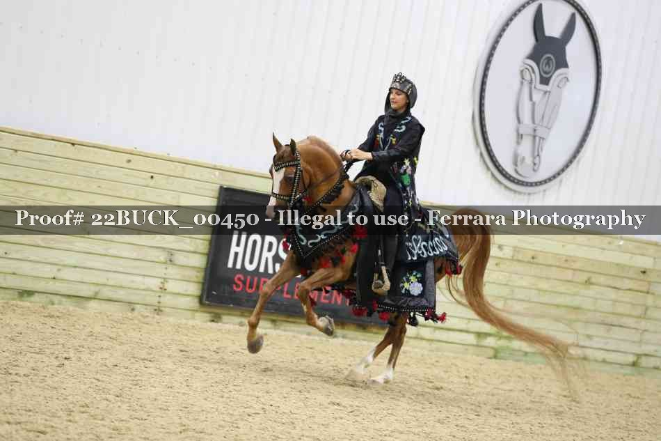 Proof 22BUCK_00450