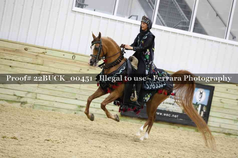 Proof 22BUCK_00451